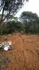 Sanzhi 三芝 pics_of_recent_site_clearing4