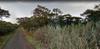 next photo: Google Streetview capture, road-looking west along the road, Feb 2012