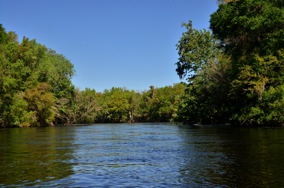 Florida DSC_3629